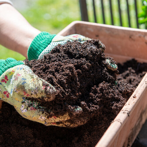 Potting mix