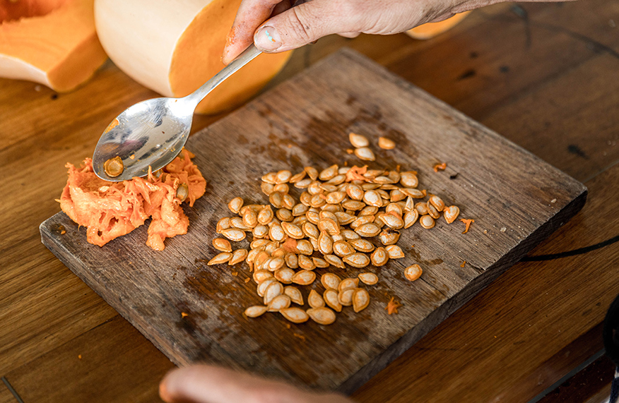 Saving seeds