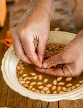 Wet seed saving