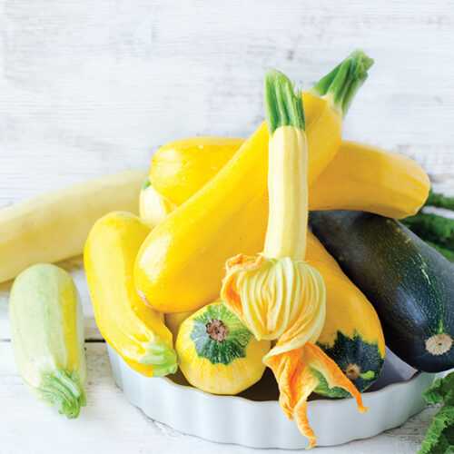 Zucchini