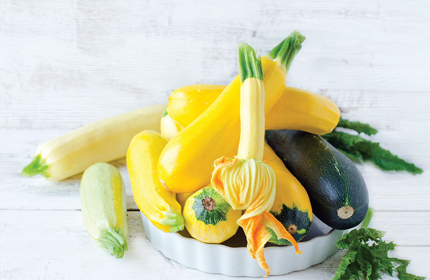 Zucchini