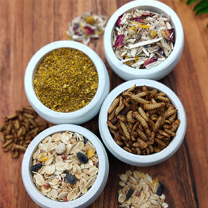 Aussie Chook Supplies