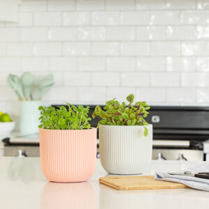 Capi Europe pots