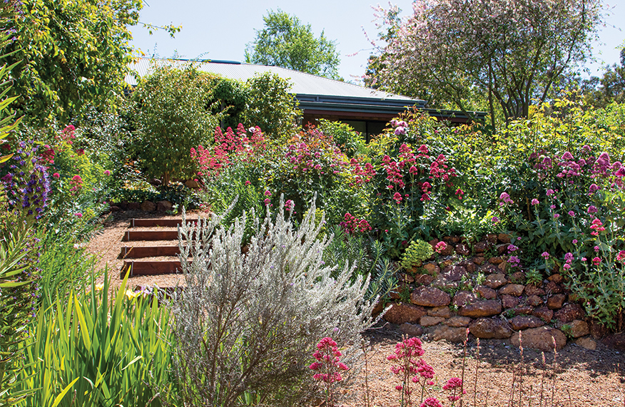 Garden in Perth