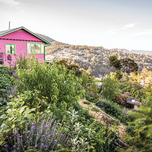 How to live a permaculture life Hannah Moloney's permaculture property