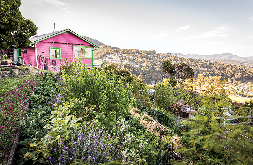 Hannah Moloney's permaculture property