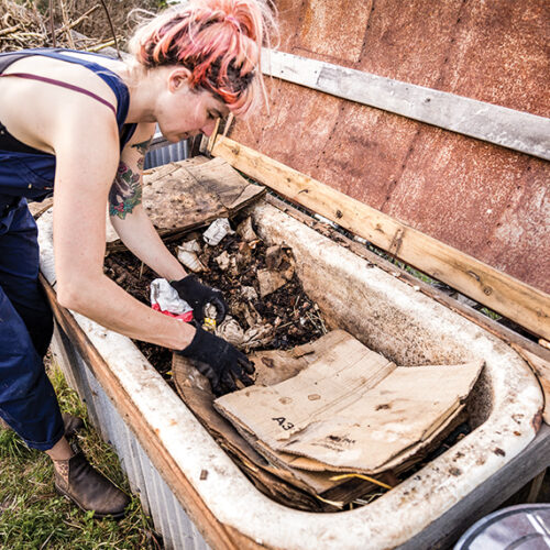 Compost