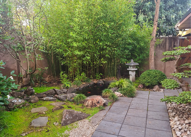 DDS garden