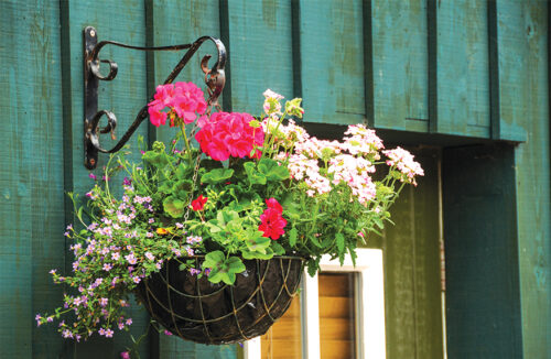 Hanging baskets