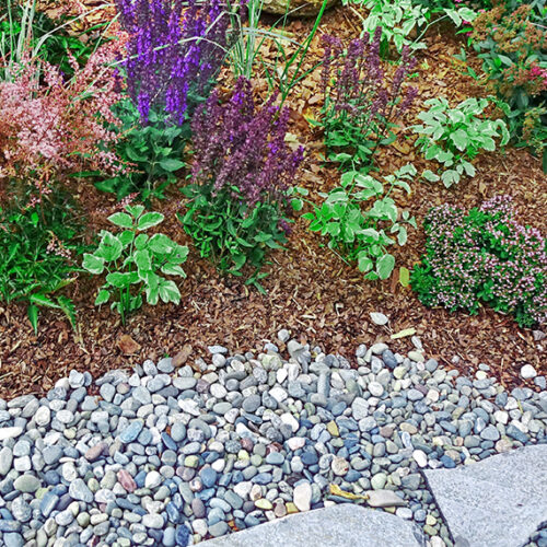 Marvellous mulch Mulch