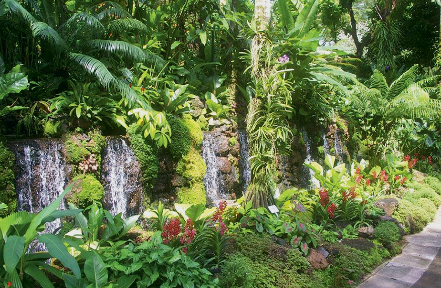 National Orchid Garden