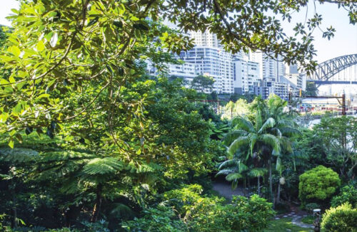 Wendy's Secret Garden, Sydney