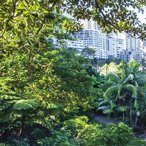 Wendy’s Secret Garden in Sydney, Australia Wendy's Secret Garden, Sydney