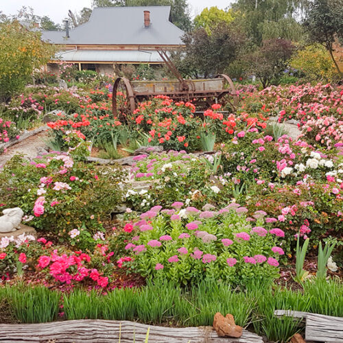 Frosty Flats Frosty Flats SA Open garden