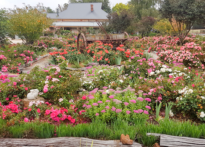 Frosty Flats SA Open garden