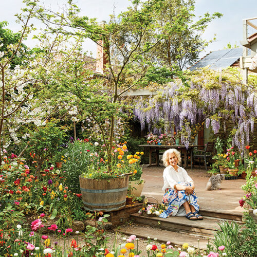 In full bloom In full bloom