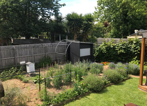 The Aussie Veggie Patch