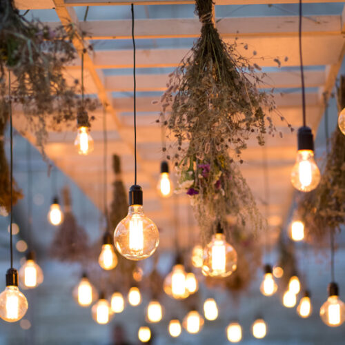 A gardener’s guide to outdoor lighting Lighting