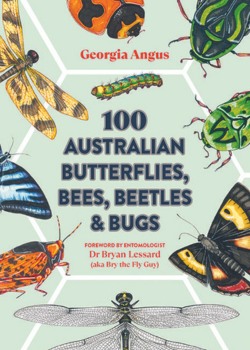 100 Australian Butterflies, Bees, Beetles & Bugs