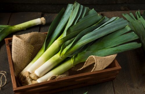 Grow leeks