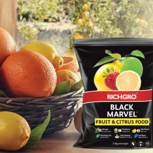 Richgro citrus feed