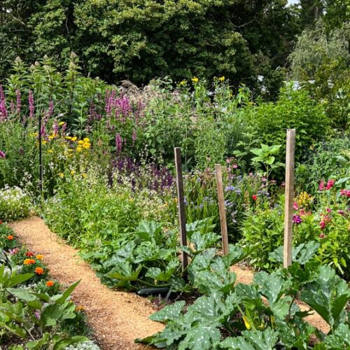 The Big Little Garden The Big Little Garden