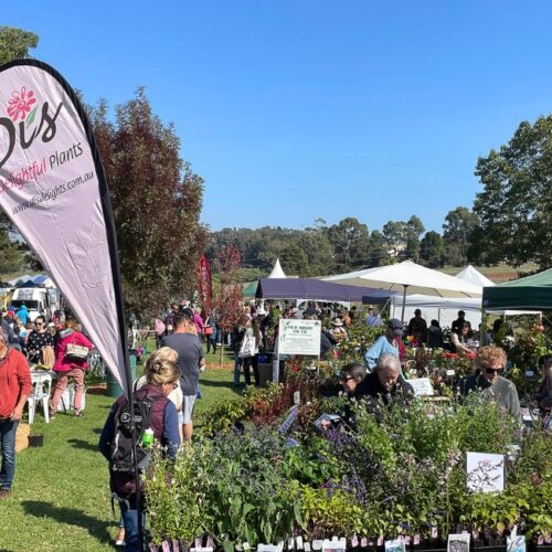 Yarra Valley Plant Fair