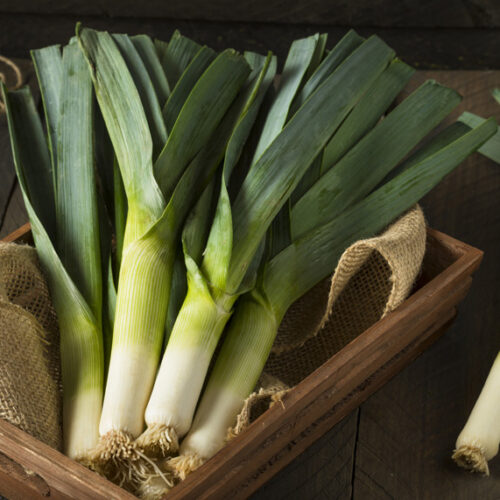 How to grow leeks Leeks