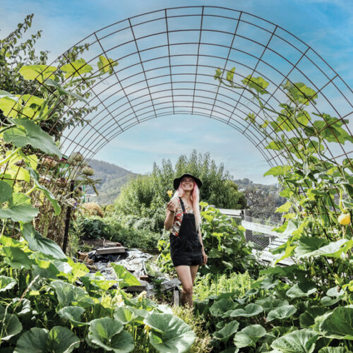Grow fruit & vegetables in all climates Hannah Moloney growing fruit and vegetables