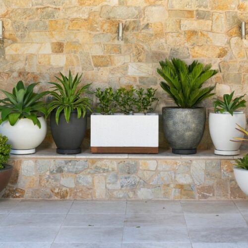Omina Plant Glider