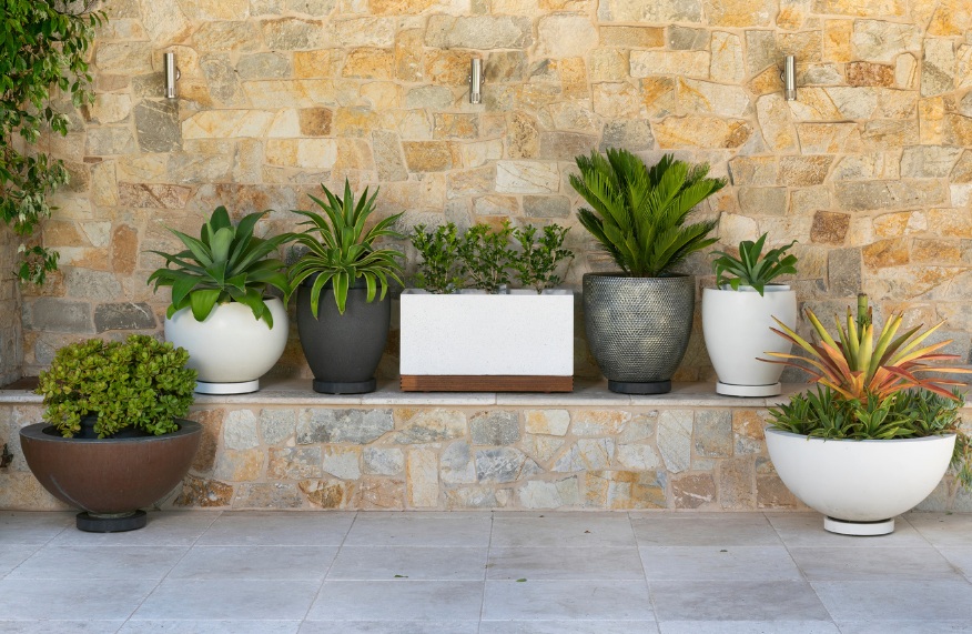 Omina Plant Glider