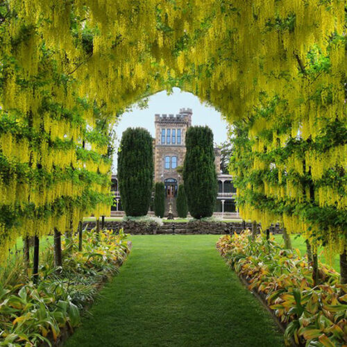 Travel Larnach castle