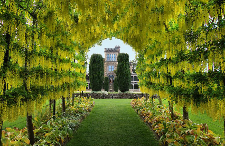 Larnach castle