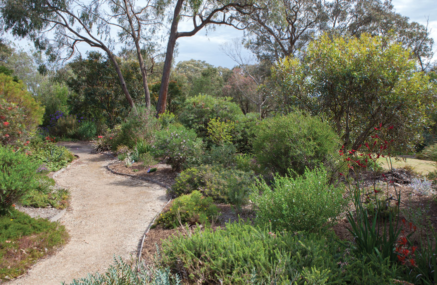 Native garden