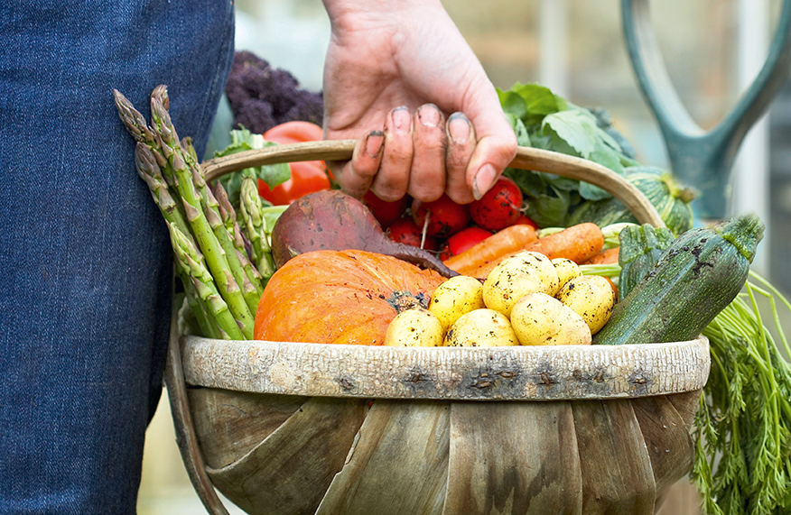 Maximise harvest