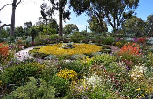 Flower clock in Kings Park, Perth