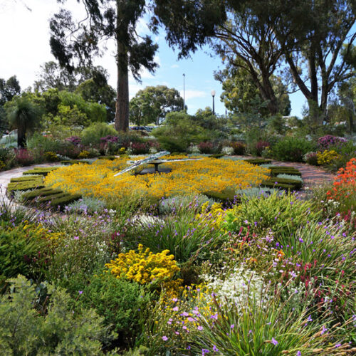 Kings Park and Botanic Garden in Perth, Australia Flower clock in Kings Park, Perth