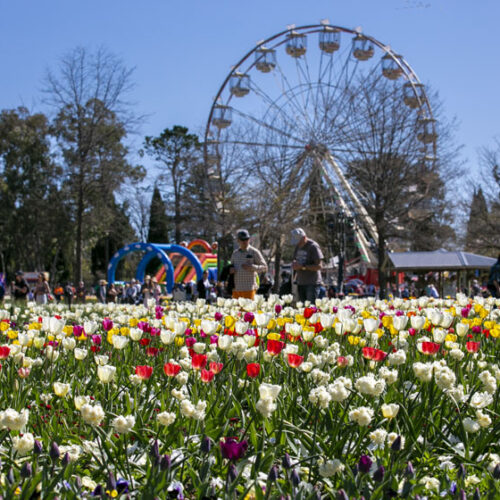 Floriade 2025 Floriade Festival Canberra