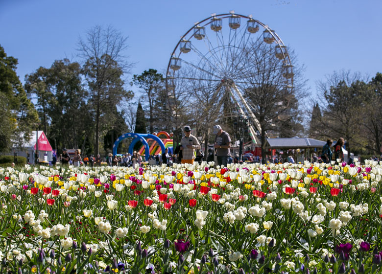 Floriade Festival Canberra