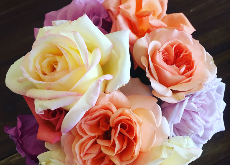 Roses from Riverland Rose & Garden Festival