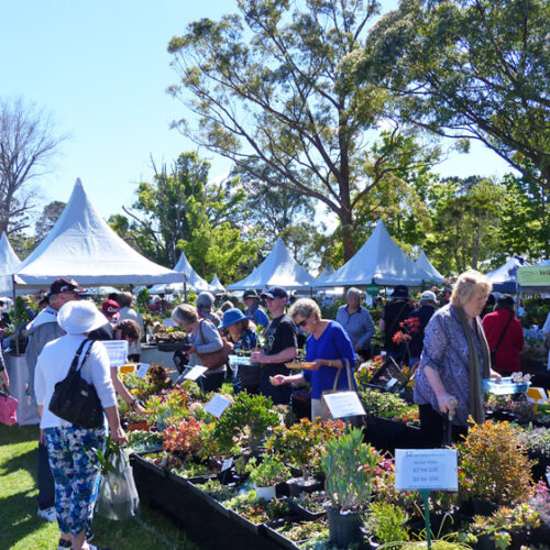 Plant Lovers Fair Plant lovers fair