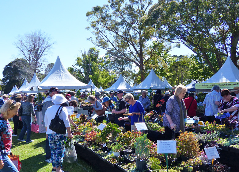Plant lovers fair