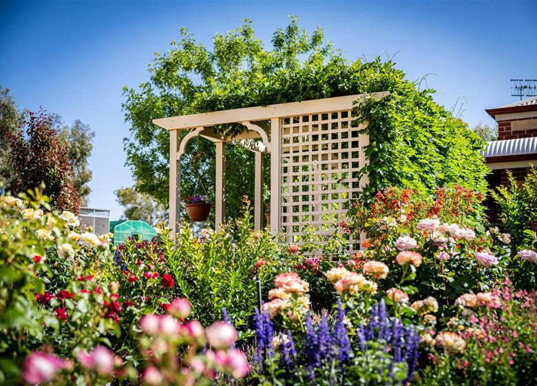 Riverland Rose and Garden Festival 2025