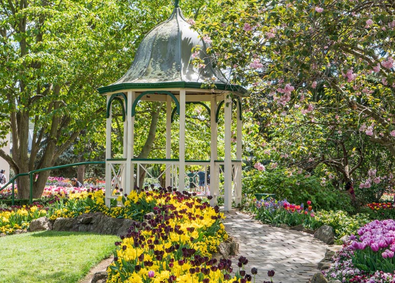 Tulip Time Festival