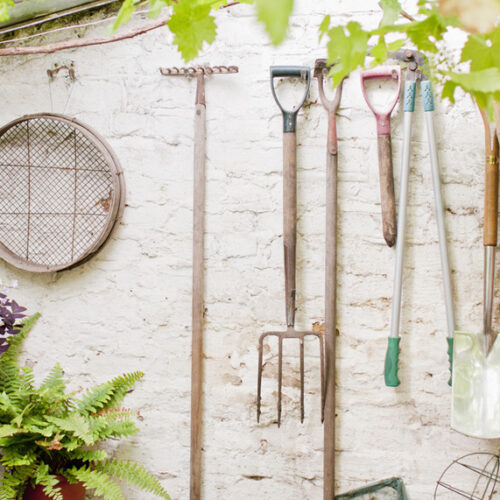 Buying garden tools Buying garden tools