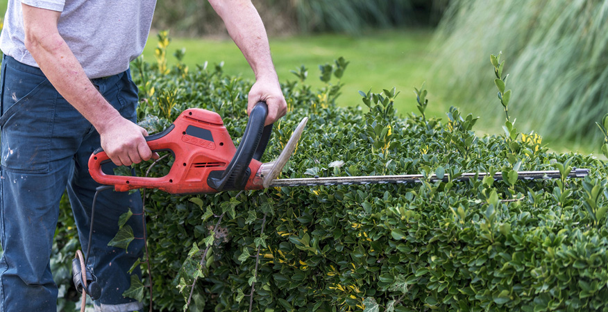 Powered hedge trimmer