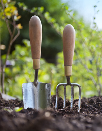 Buying garden tools with wooden handles