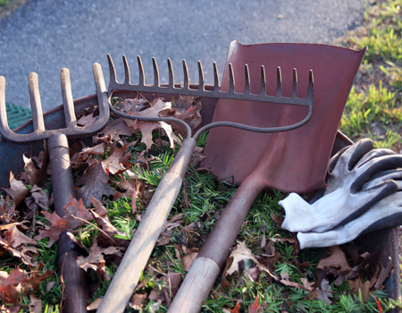 Cultivating tools