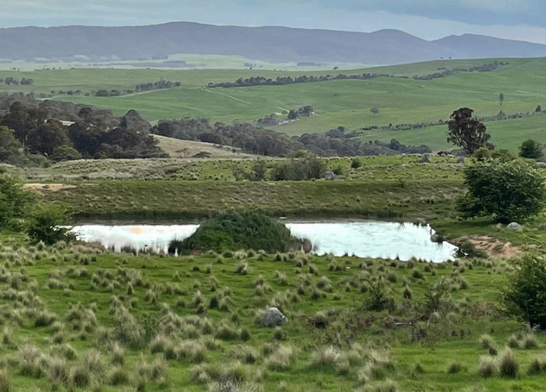Elvesgate truffle farm