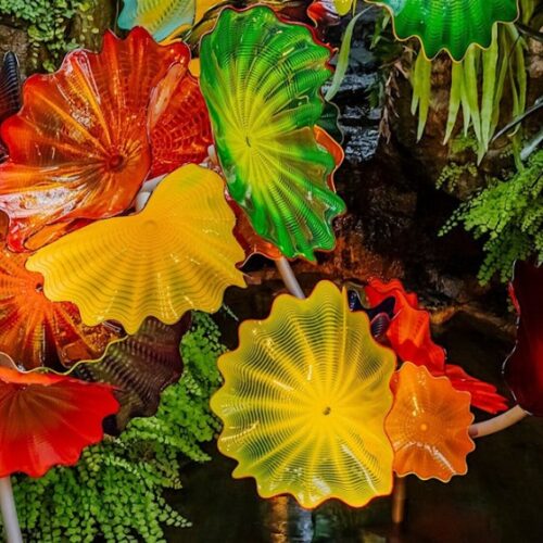 Chihuly in the Botanic Garden Chihuly